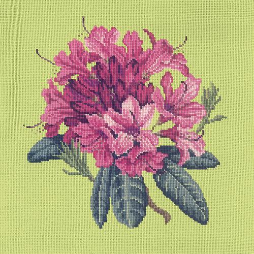 Rhododendron Needlepoint Kit Elizabeth Bradley Design Pale Lime 