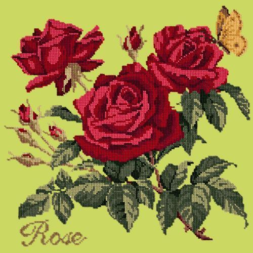 Rose Needlepoint Kit Elizabeth Bradley Design Pale Lime 