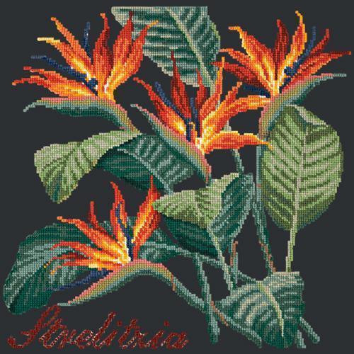 Strelitzia Needlepoint Kit Elizabeth Bradley Design 