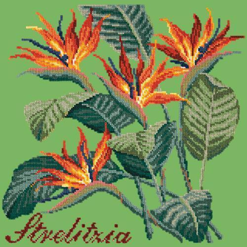 Strelitzia Needlepoint Kit Elizabeth Bradley Design Grass Green 