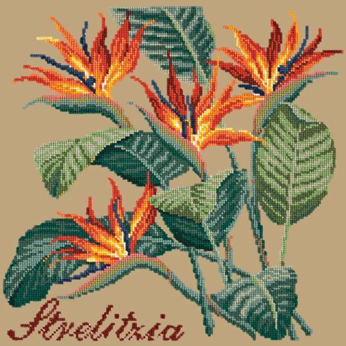 Strelitzia Needlepoint Kit Elizabeth Bradley Design Sand 