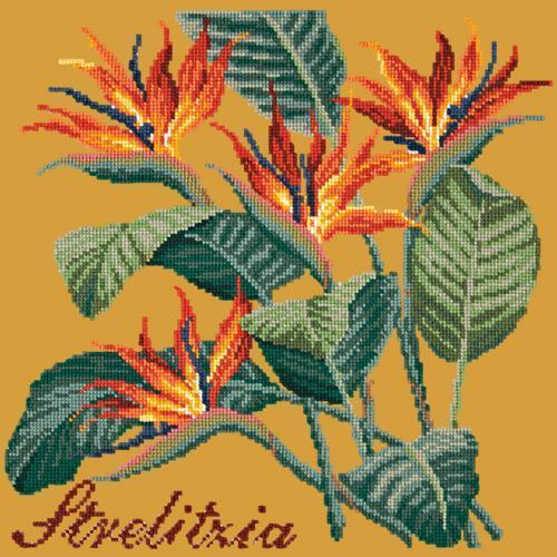 Strelitzia Needlepoint Kit Elizabeth Bradley Design Yellow 