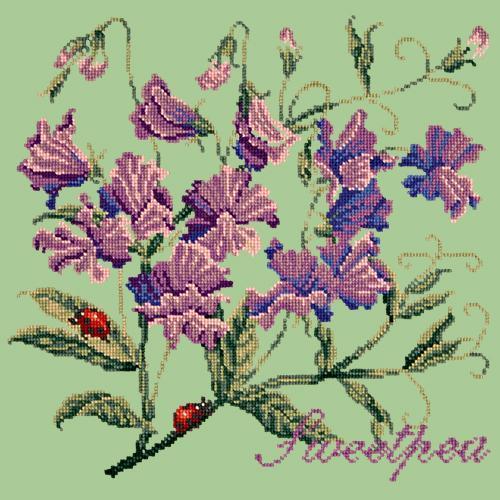 Sweetpea Needlepoint Kit Elizabeth Bradley Design Pale Green 