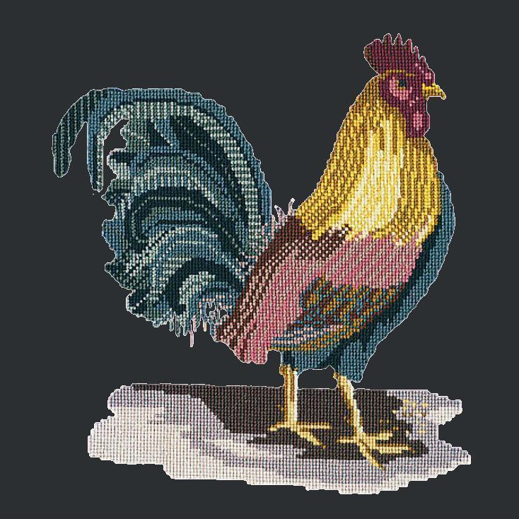 The Cockerel Needlepoint Kit Elizabeth Bradley Design 