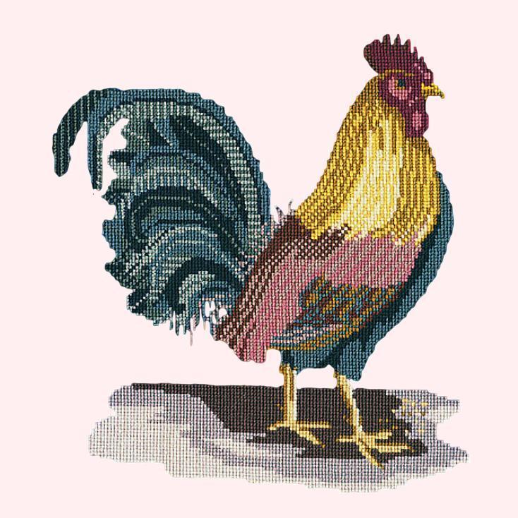 The Cockerel Needlepoint Kit Elizabeth Bradley Design Cream 