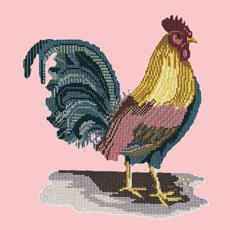 The Cockerel Needlepoint Kit Elizabeth Bradley Design Pale Rose 