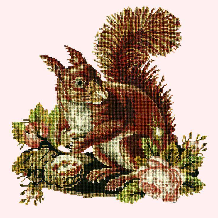 The Squirrel Needlepoint Kit Elizabeth Bradley Design Cream 